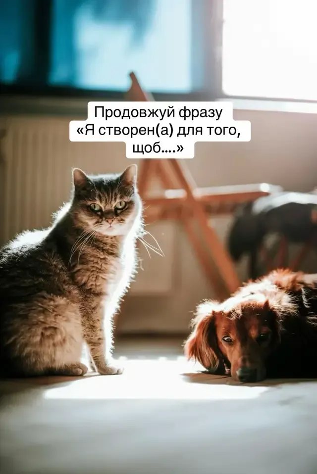 Діліться, для чого створені саме ВИ❤️ #esviarpharm #ветпрепарати #здоровятварин #собака #котик