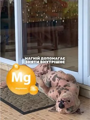 А що допомагає зняти напругу вашому улюбленцю? #esviarpharm #ветпрепарати #здоровятварин #спокійтварини