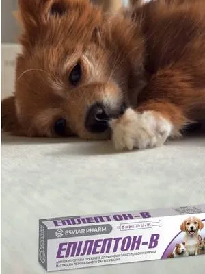Епілепсія — страшне випробування для улюбленця та його власника. Але вихід є: своєчасна допомога й турбота допоможуть рухатися далі та дарувати тварині повноцінне життя #ветпрепарати #епілепсіятварин #esviarpharm #здоровятварин